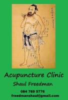 Acupuncture, Cape Town, Shaul Freedman image 1